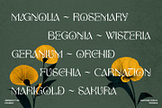 Maryone Font, a Serif Font by Asenbayu (Thumbnail 6 of 15)
