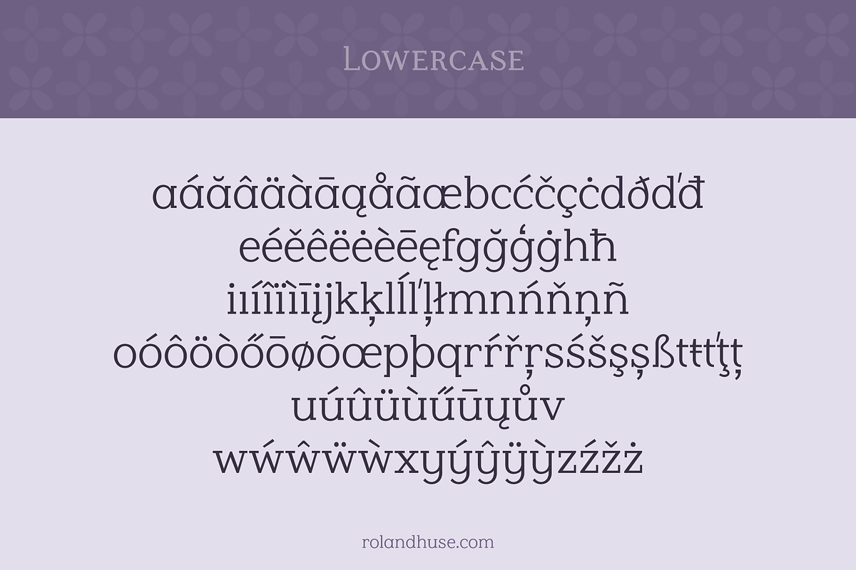 Lilac Block Weight Variable Serif, a Font by Roland Huse Design (Photo 2 of 6)
