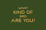 Woodrow I A Sans Serif Font, a Sans Serif Font by Taylor Penton (Thumbnail 2 of 3)