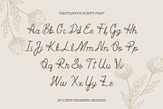 Thistlewyn by Cindy Roaming Designs, a Script Font by cindyroamingdesigns (Thumbnail 2 of 6)