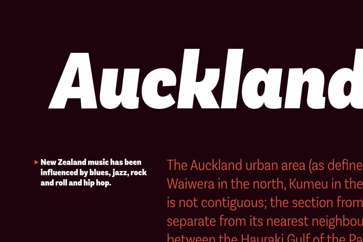 Basic Sans Cnd preview 8