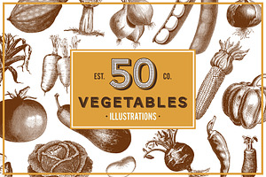 Vegetables Vintage Illustrations