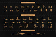 Stejita | Tattoo Script Font, a Script Font by Denustudios (Thumbnail 12 of 14)
