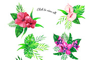 Tropic watercolor flower set, a Decorative Illustration by Watercolor & sketches (Thumbnail 5 of 7)