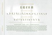 Gidglet, a Serif Font by Nathatype (Thumbnail 10 of 10)