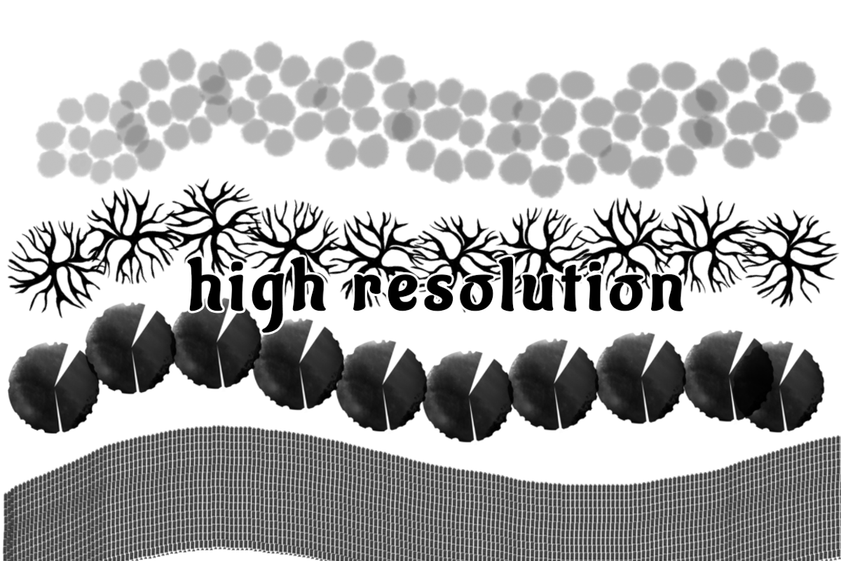 Landscape sketch design plan  brush, a Brushes & More by Meisanmui (Photo 3 of 4)