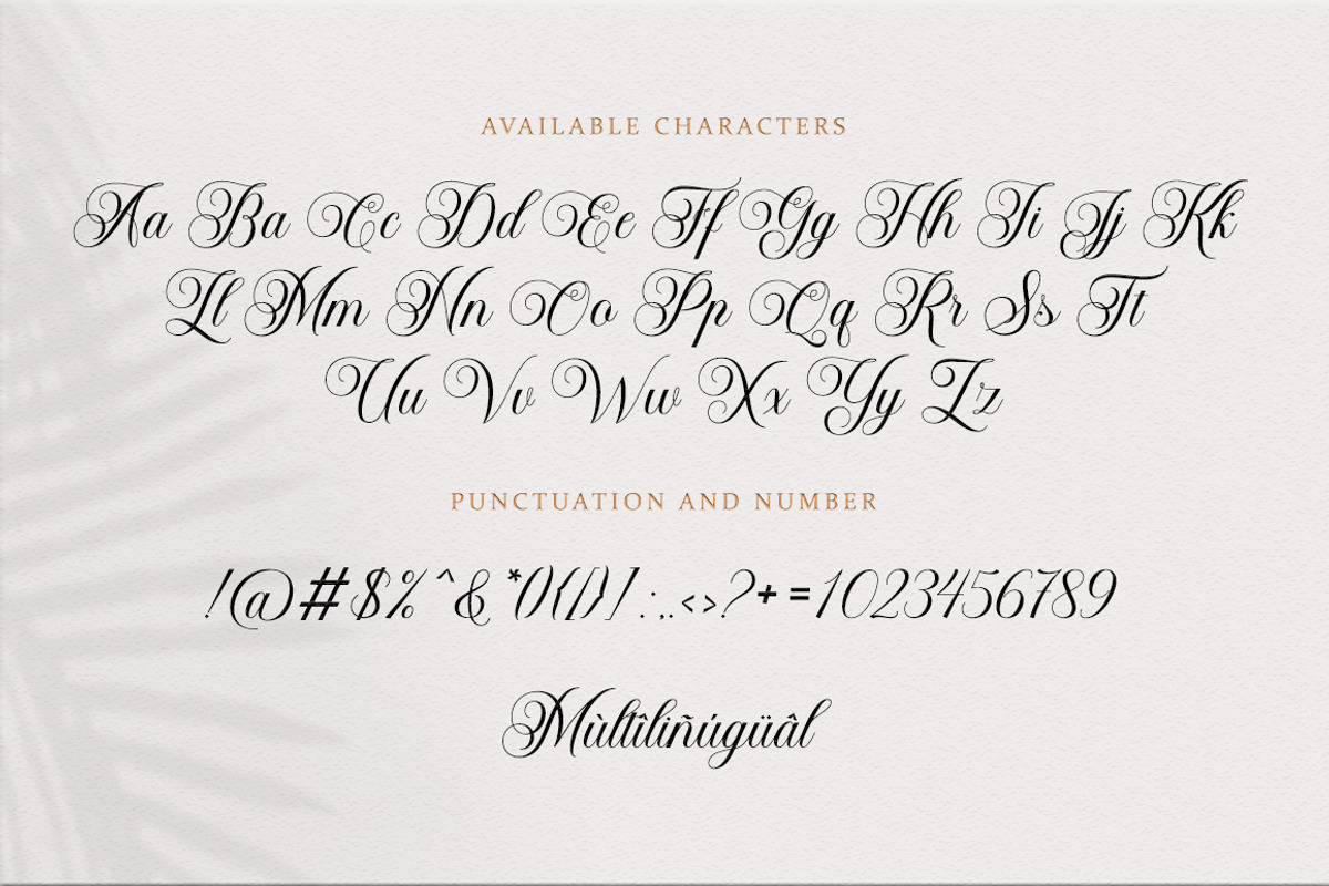 Bailenson, a Script Font by Pista Mova (Photo 7 of 11)