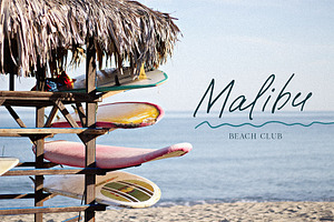 Paradise Beach Modern Script Font