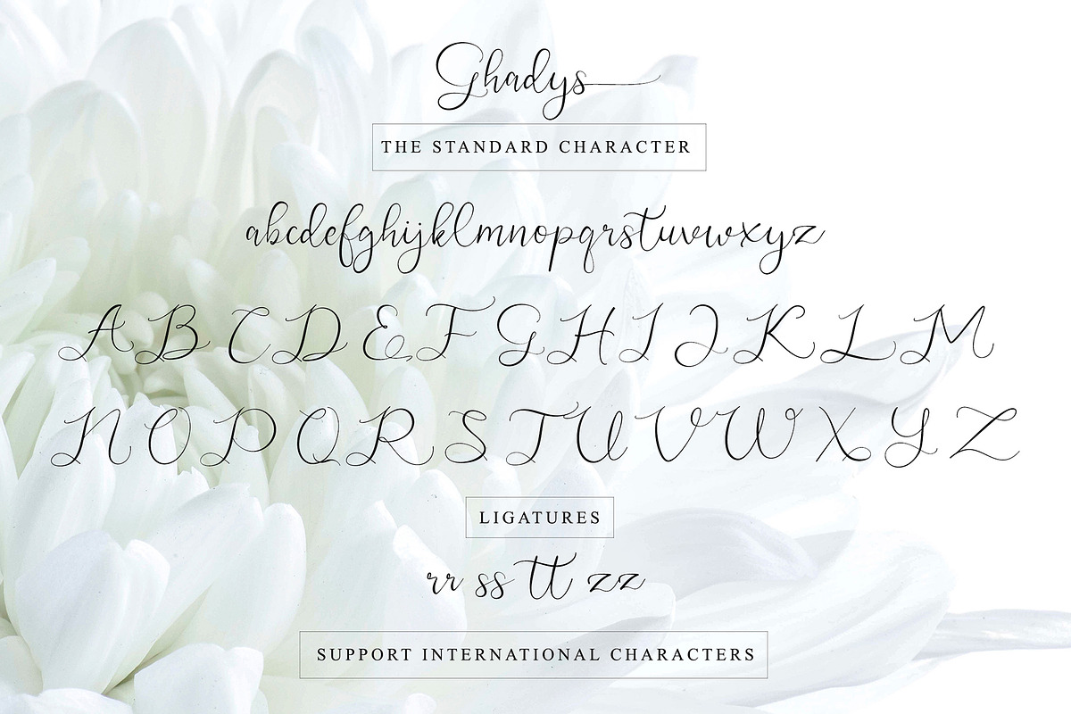 Ghadys - Classic Handwritten, a Script Font by erlosDESIGN (Photo 11 of 12)