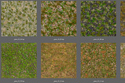 AUTUMN AND WINTER TEXTURE PACK, a Textures & Material 3D Model by Beatheart Creative Studio (Thumbnail 14 of 58)