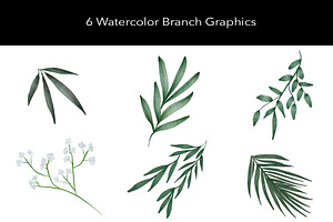 Citrus Watercolor Graphics Set