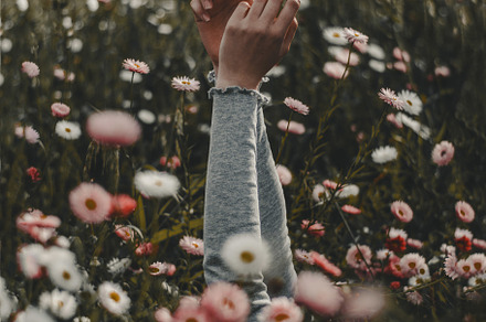 Hands in a field of flowers