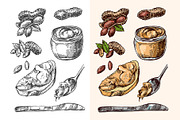 Nuts sketch, a Food Illustration by Steshnikova (Thumbnail 4 of 5)