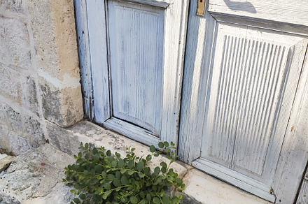 Abandoned doors with planted near th, an Architecture Photo by Photo by YuraYaryna