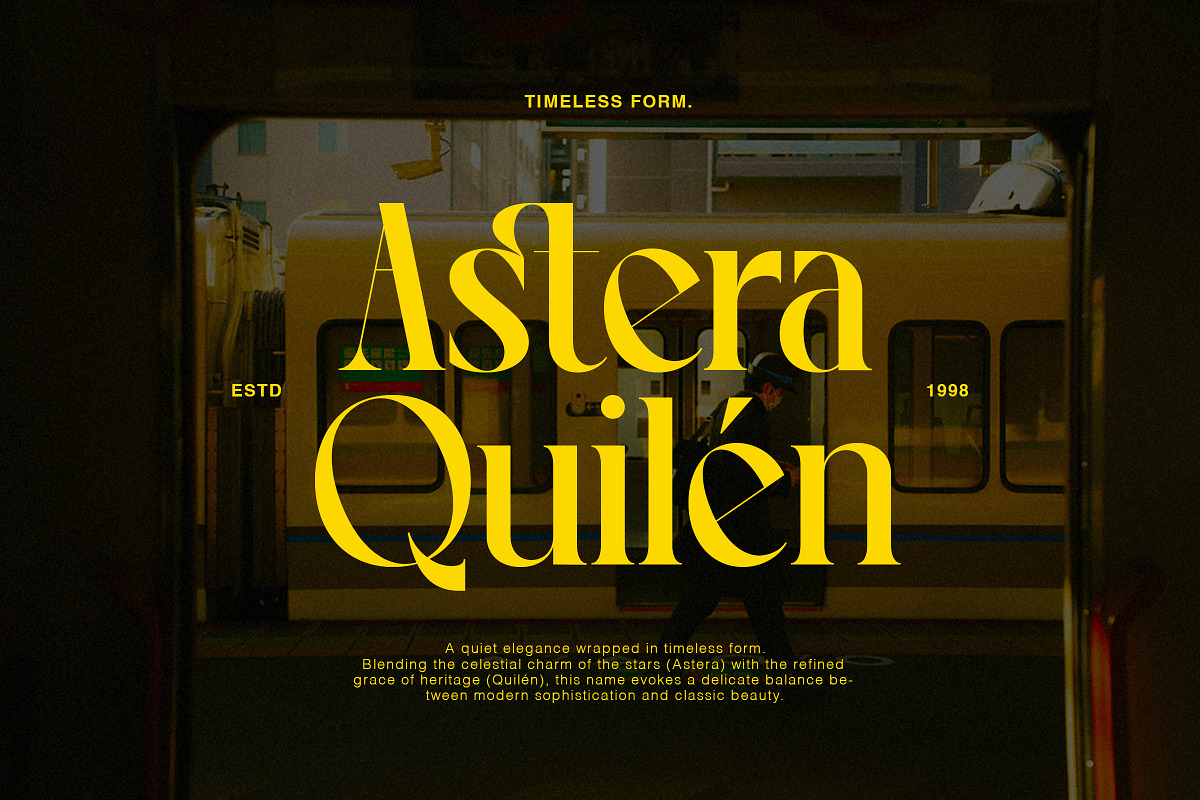 VERONA - Vintage Classic Serif, a Serif Font by The_Type (Photo 5 of 12)