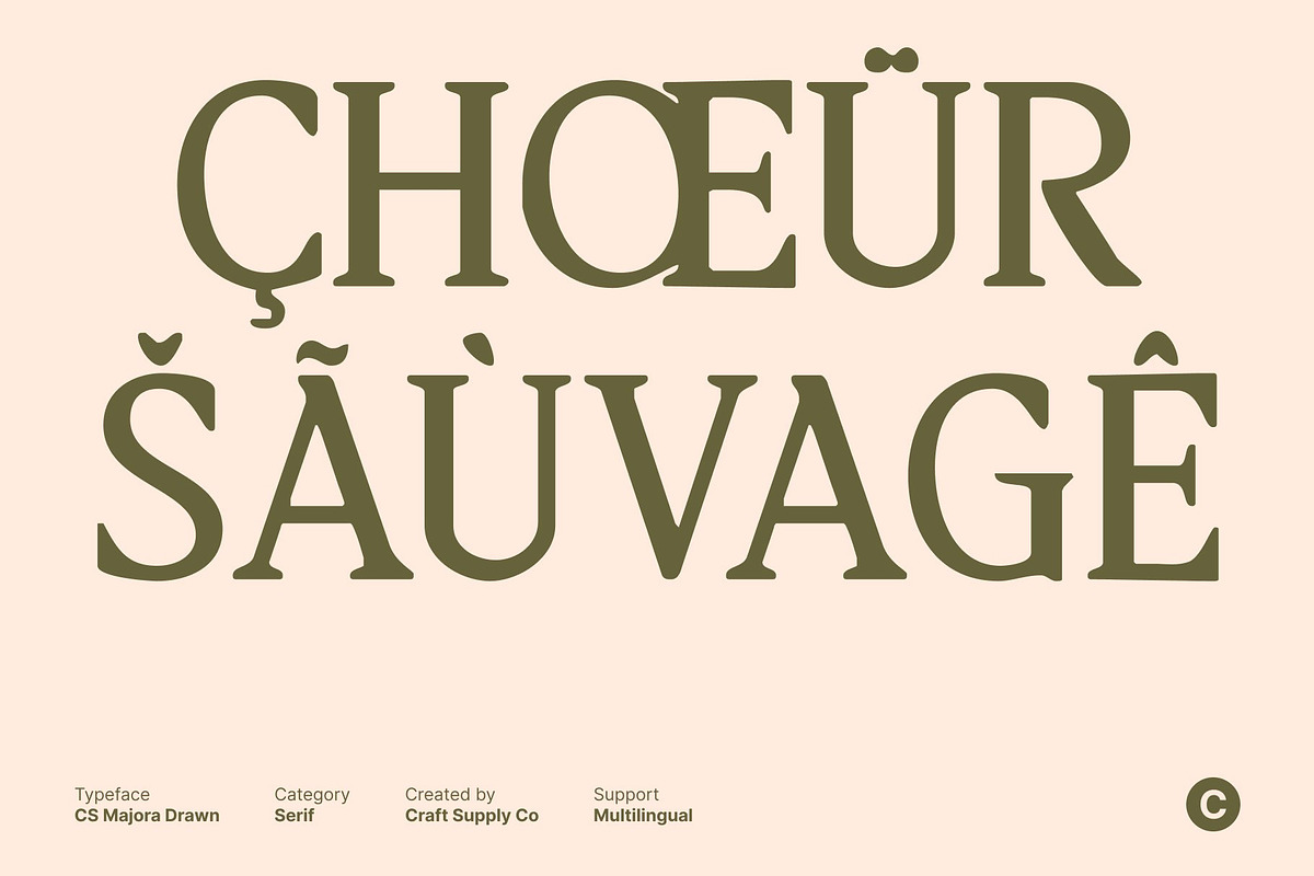 CS Majora Drawn, a Serif Font by Craft Supply Co. (Photo 6 of 8)