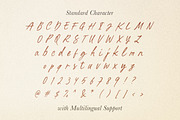 Written by Artist - Ligature Script, a Script Font by Sarid Ezra (Thumbnail 10 of 11)