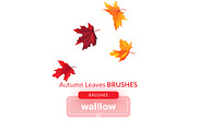 Autumn Fall Leaves Photoshop Brushes, a Brushes & More by Walllow Creatives (Thumbnail 2 of 3)