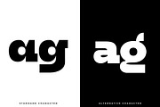 HN Cito, a Slab Serif Font by Hora Nocte (Thumbnail 4 of 12)