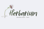 Handwritten Font BUNDLE, a Script Font by AnMark (Thumbnail 14 of 18)