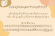 Bathersilla Brush Wedding Font, a Script Font by MikroType Std (Thumbnail 8 of 9)