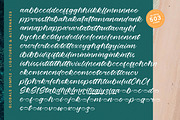 Globals Simple Bold Calligraphy Font, a Script Font by stylishtype.co (Thumbnail 19 of 20)