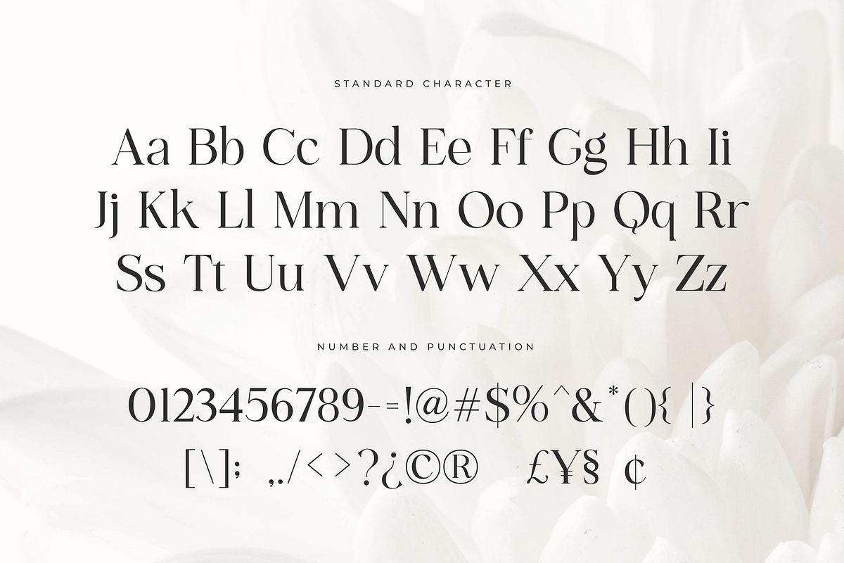 Ehnoel Silva - Editorial Serif, a Serif Font by Elmous (Photo 9 of 9)
