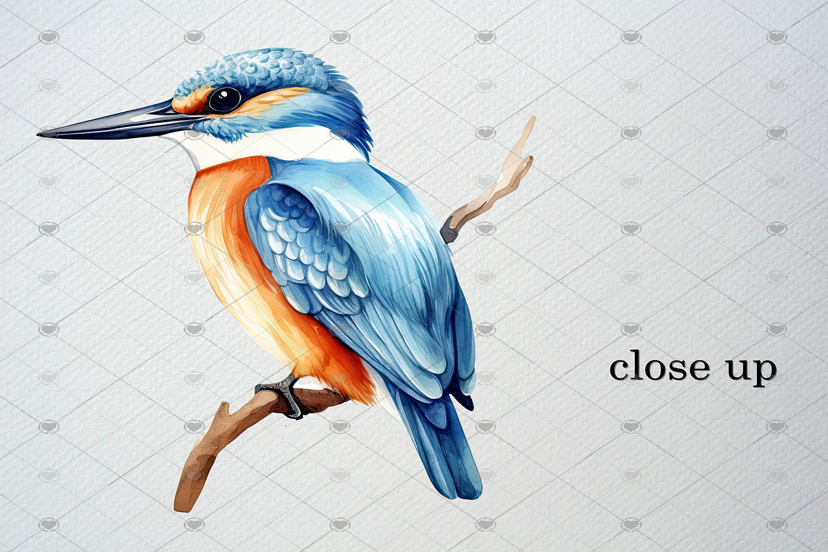 Watercolor Tropical Birds Clipart, an Animal Illustration by CropUp Creative (Photo 4 of 5)