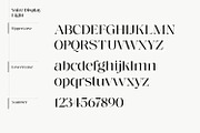 Voire - Elegant Serif family, a Serif Font by creativemedialab (Thumbnail 17 of 21)