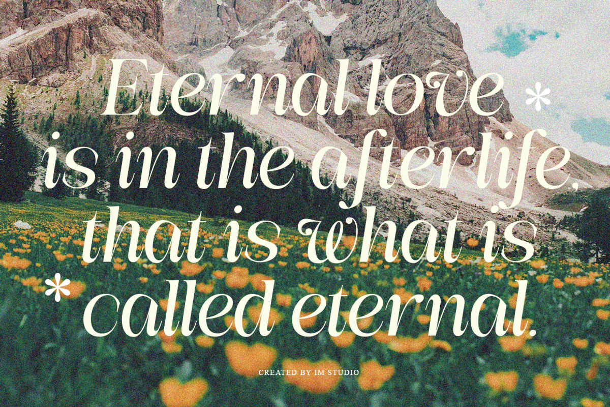 Medvilea Editorial | 15 Style Font, a Serif Font by IM Studio (Photo 10 of 13)
