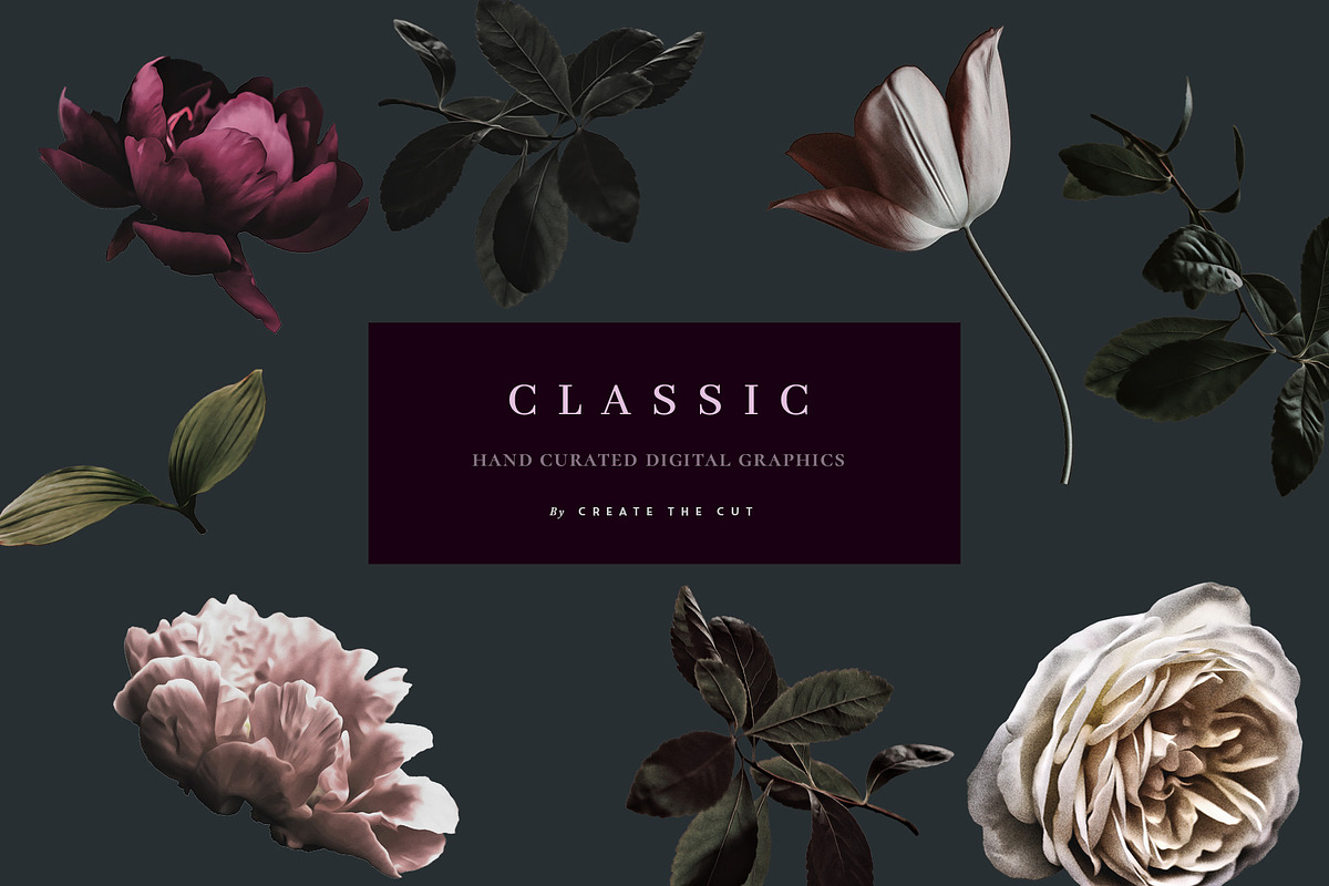Romantic Clip Art Set - Classic, an Illustration by Create The Cut (Photo 5 of 8)