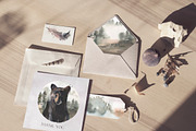 Woodland Babies Wild Animals Clipart, an Animal Illustration by whiteheartdesign (Thumbnail 16 of 28)