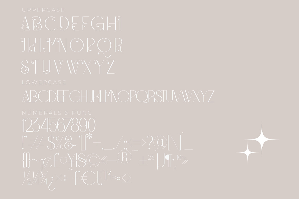 Qegor Modern and Minimalist Serif, a Serif Font by Storytype Studio (Photo 10 of 12)