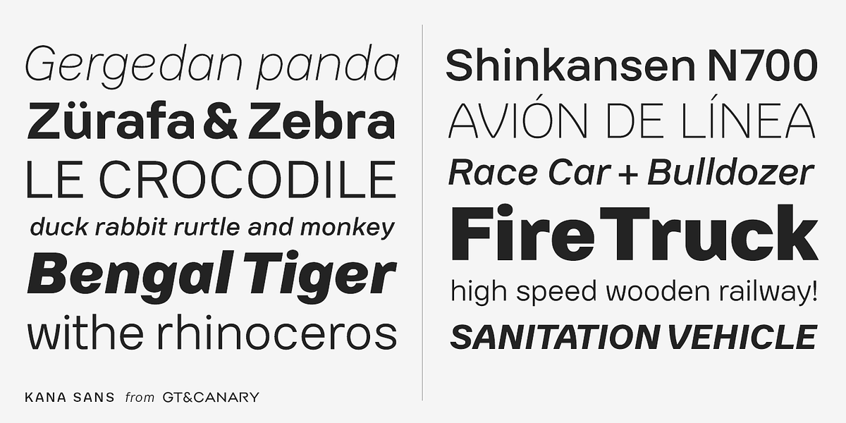 Kana Sans, a Sans Serif Font by GT&CANARY (Photo 2 of 6)
