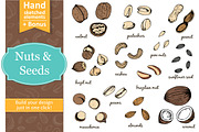 Nuts and seeds with seamless pattern, a Food Illustration by Tatti Graphic Studio (Thumbnail 1 of 3)