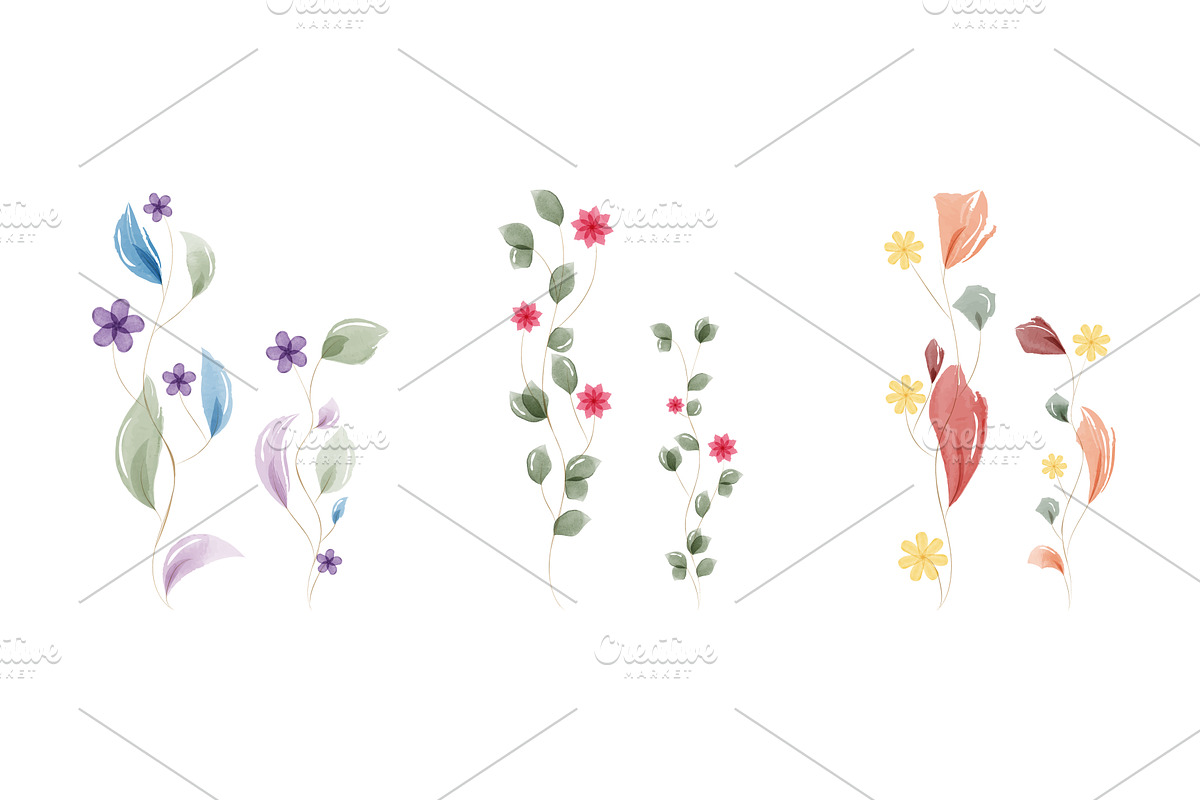 Set of watercolor flower vines with, an Object Illustration by okskukuruza