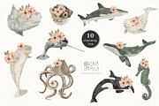 AQUATALES | 170+ elements, an Animal Illustration by Oksana Stepova (Thumbnail 2 of 19)