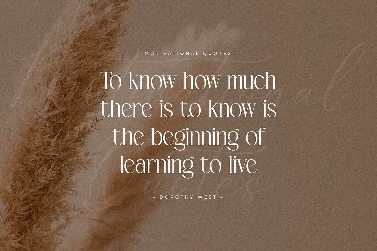 Enchanted Hermion Font Duo, a Serif Font by Storytype Studio (Photo 6 of 15)