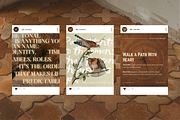 The Warrior Template Bundle, a Social Media Template by The Flossy Finch (Thumbnail 5 of 24)