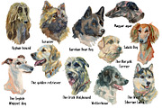 Hunter Dogs Watercolor Set 3, an Animal Illustration by Malena (Thumbnail 2 of 4)