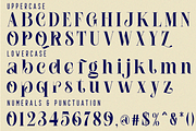 Challenge Together Font, a Serif Font by 177Studio (Thumbnail 7 of 7)