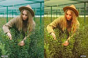 Steal Film Cinematic LR Presets, a Preset Add-On by AAA Presets (Thumbnail 18 of 22)