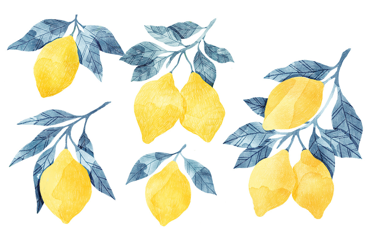 Lemons Blue Leaves, a Food Illustration by Helga Wigandt (Photo 2 of 8)
