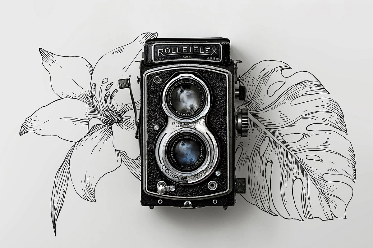 40 Vintage Floral Illustrations, an Illustration by Hatch Design Workshop (Photo 2 of 15)