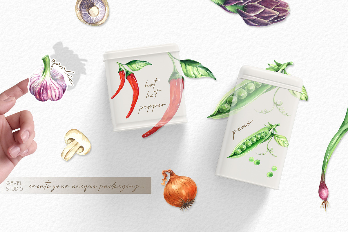Watercolor VEGETABLES illustrations, a Decorative Illustration by GevelStudio (Photo 7 of 9)