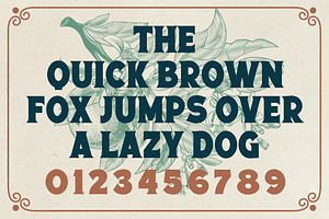 Bells Morten A Vintage Display Font