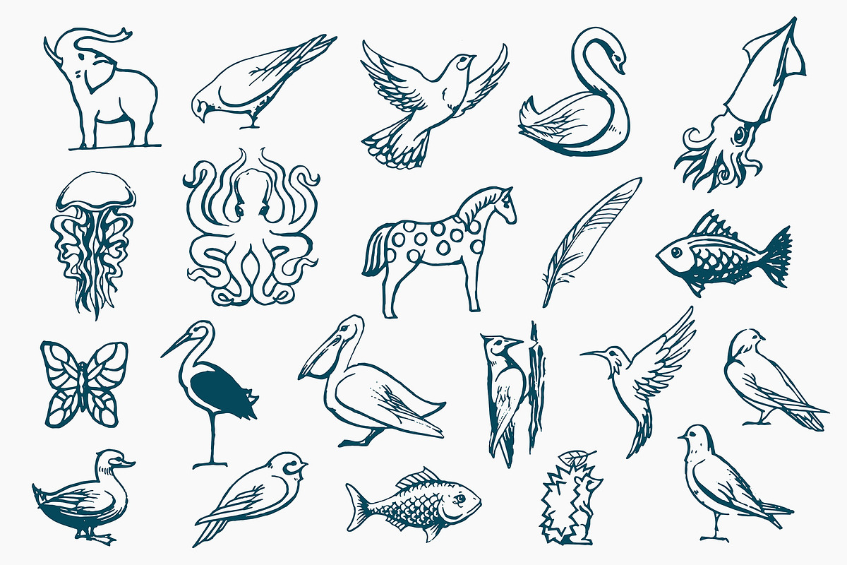 Hand Drawn Animals, an Animal Illustration by Michael Rayback Design (Photo 3 of 4)