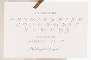 Baritone Harmony -Modern Script Font, a Script Font by Timurtype (Thumbnail 6 of 7)