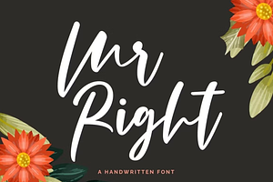 50 Fantastic Fonts Bundle