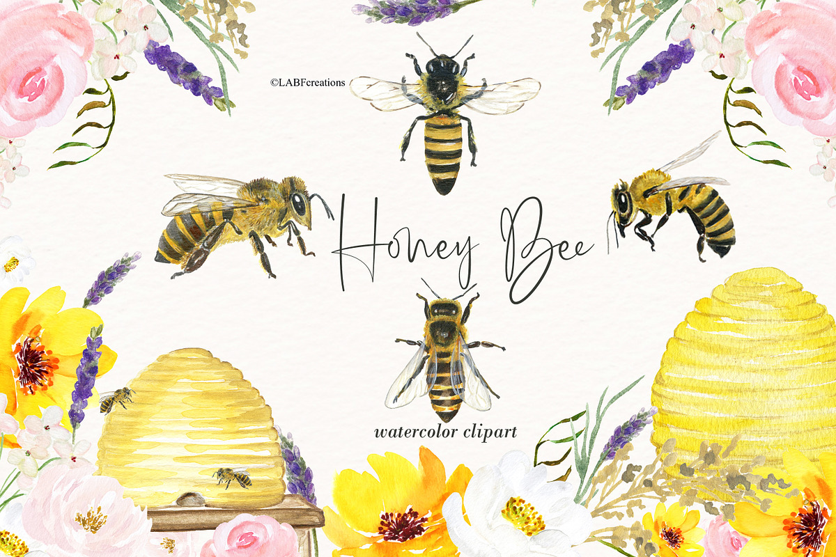 Honey Bee Watercolor, a Graphic by LABFcreations (Photo 7 of 9)